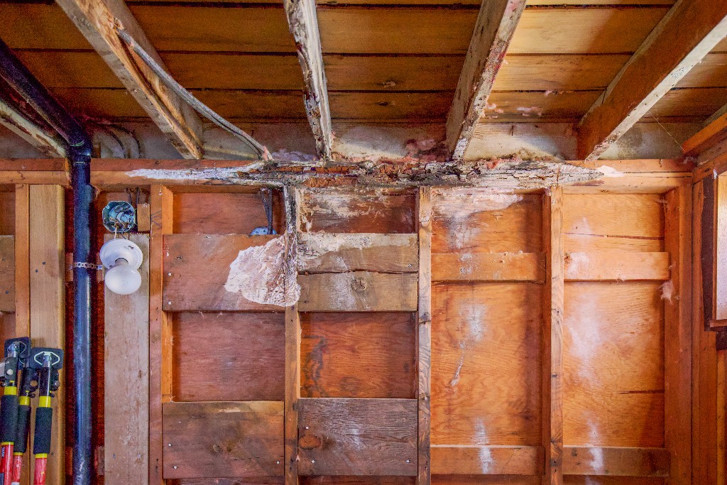 Exposed wall framing with advanced moisture damage and wood rot
